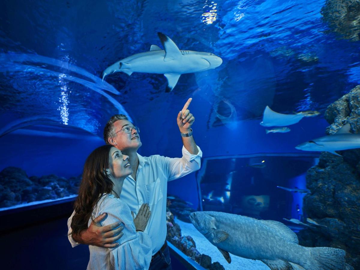 水族館でサメを眺める男女