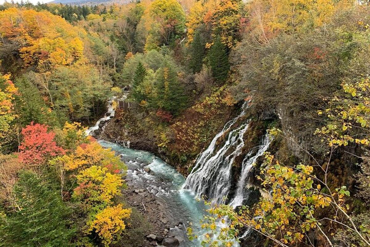 a waterfall in the middle of a forest next to a river