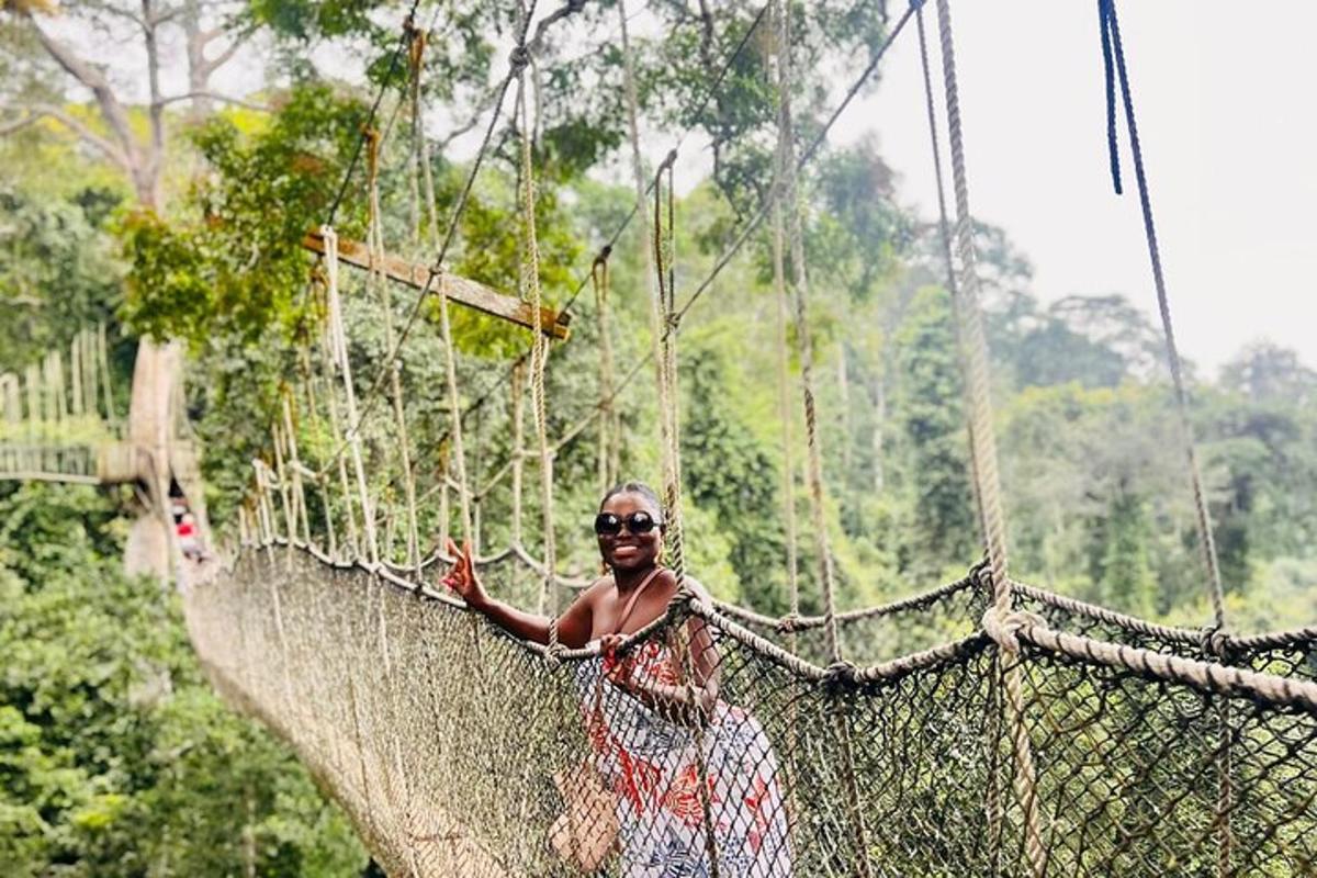a woman on a suspension bridge in the jungle