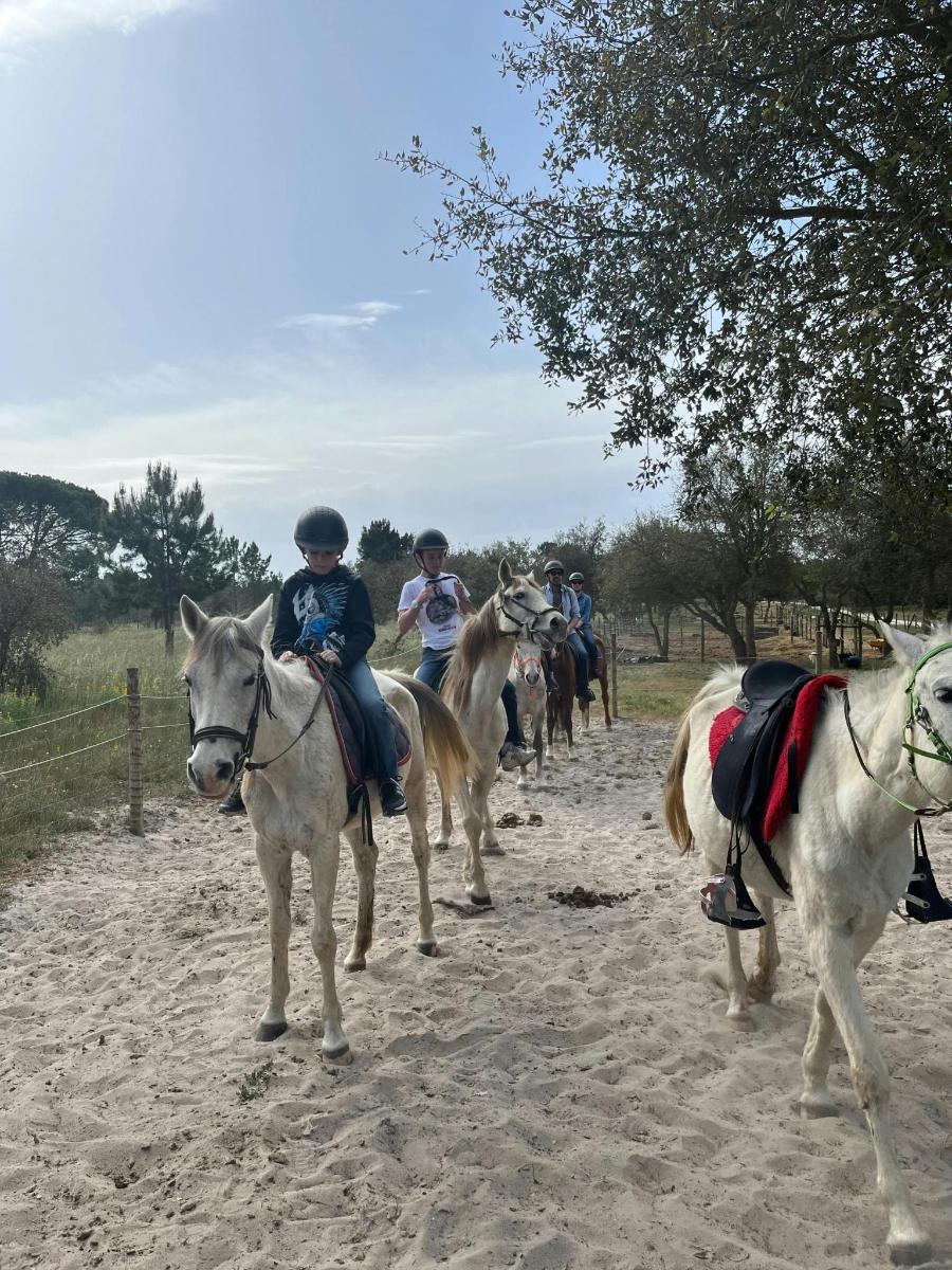 קבוצת אנשים רוכבים על סוסים בדרך עפר