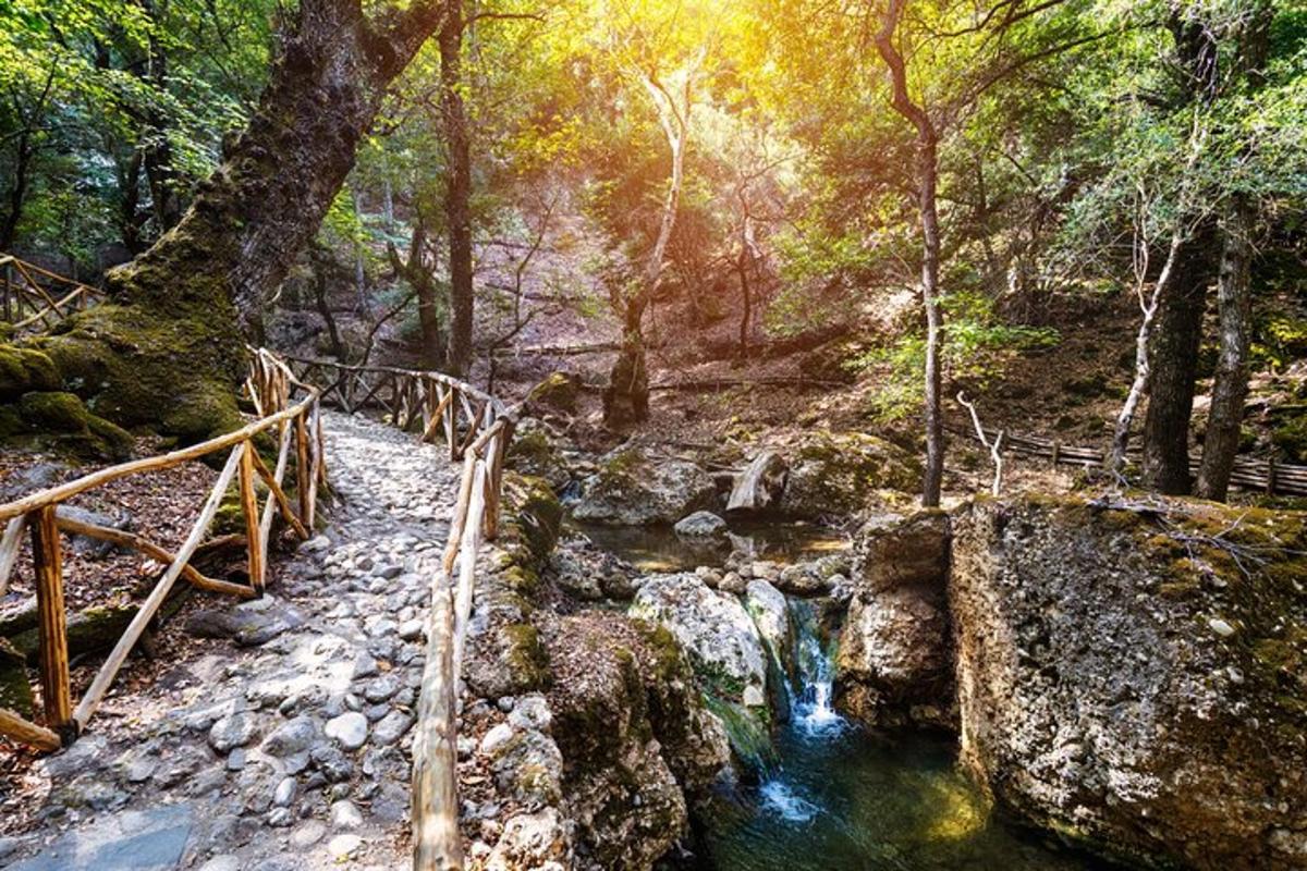 oja metsas silla ja jõega