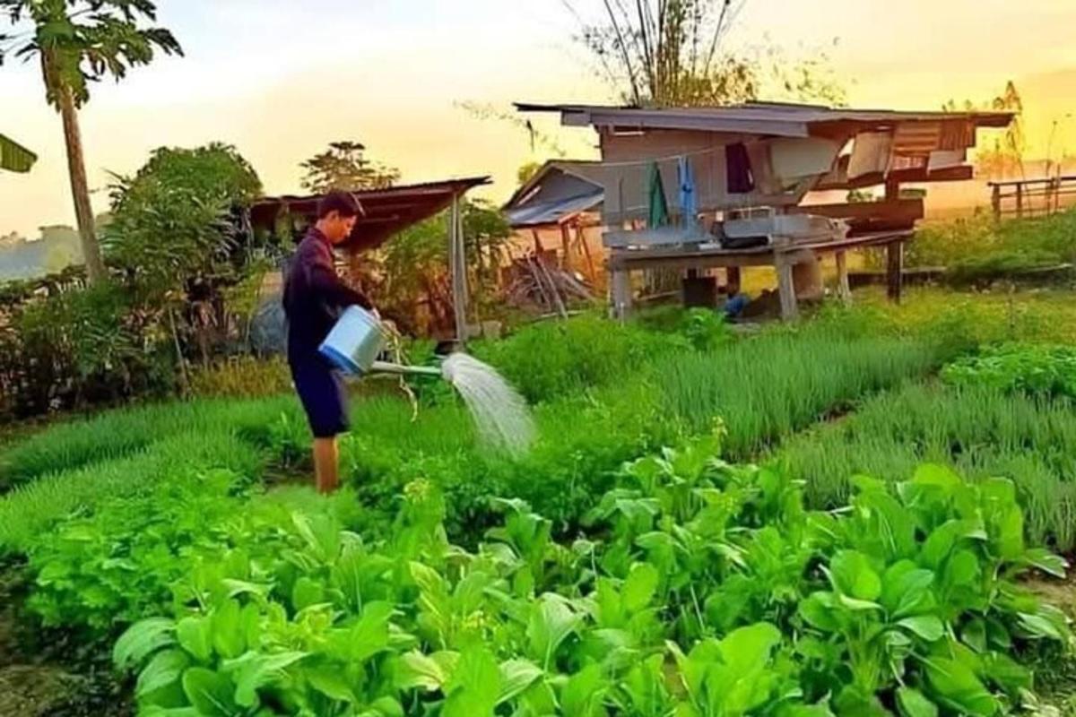 a man watering a garden with a water hose