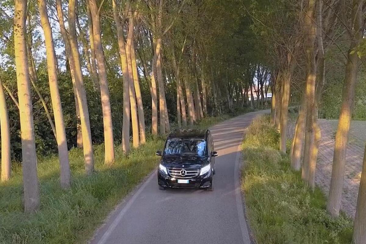 črn avto, ki se vozi po cesti z drevesi