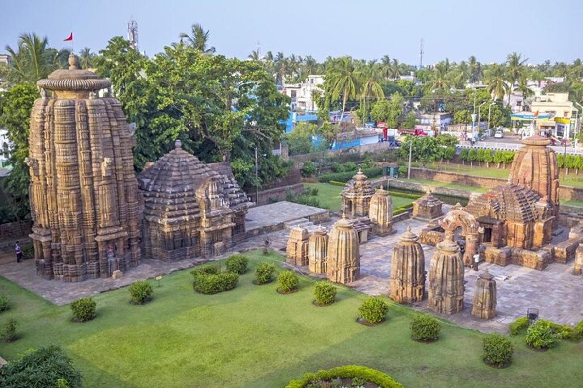 an aerial view of a temple in a park
