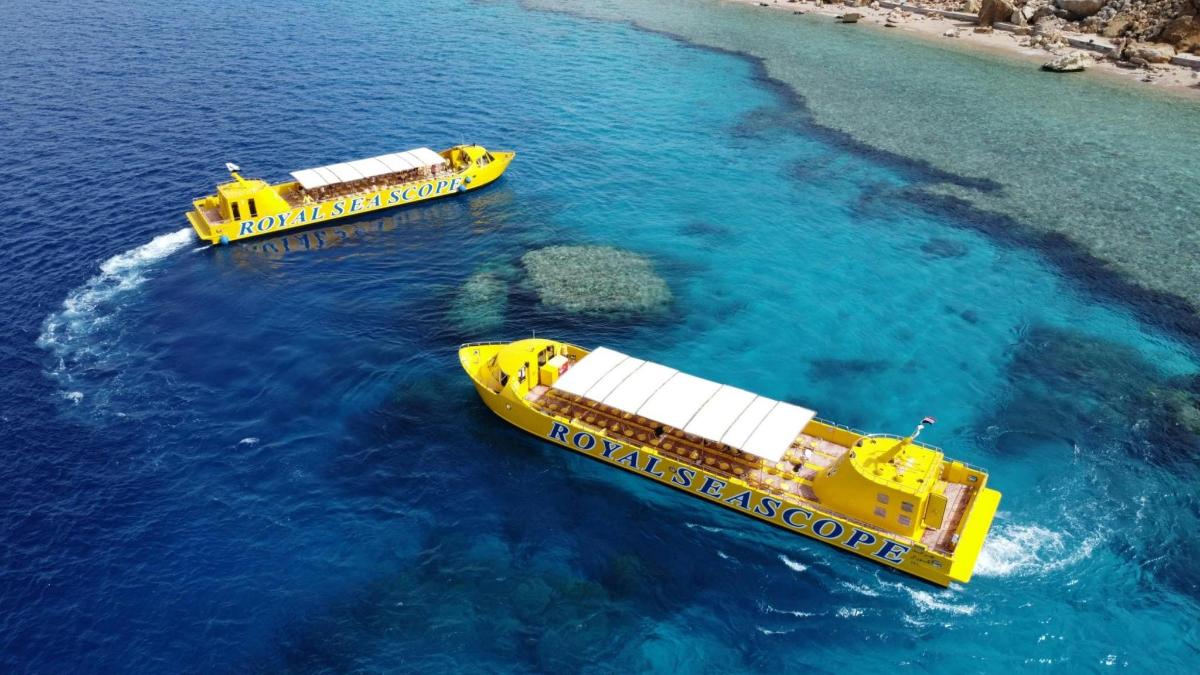 dois barcos amarelos na água perto de uma praia