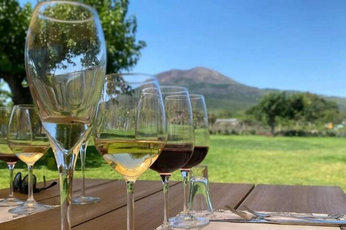 um grupo de taças de vinho sobre uma mesa