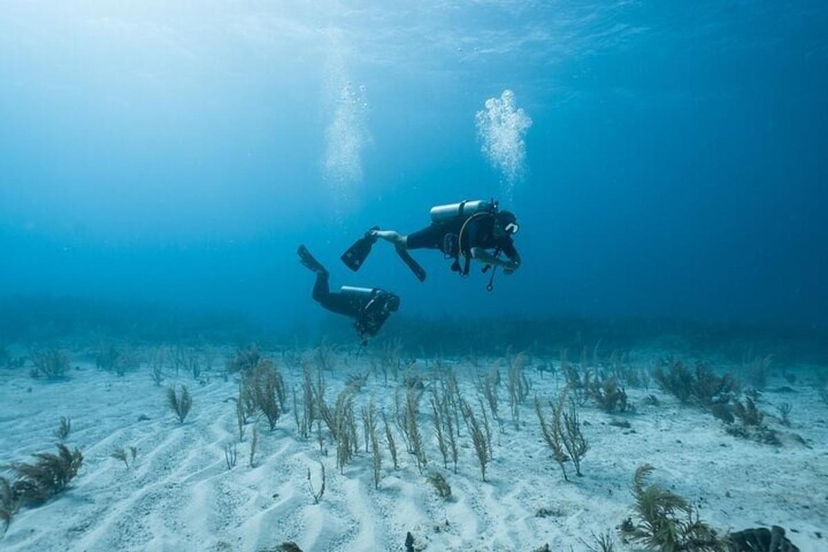 una persona nedant a l'oceà prop d'un escull