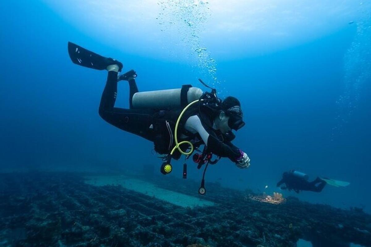 una persona amb un vestit de busseig està nedant a l'oceà