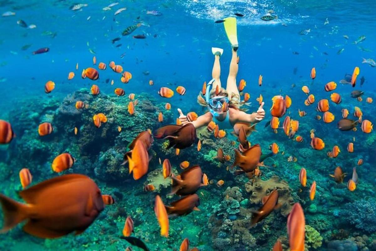 a woman swimming in the ocean with a school of fish