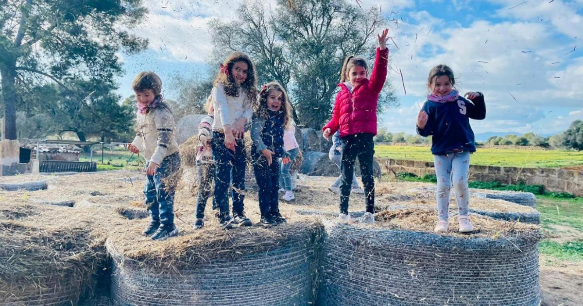 a group of children standing on hay bales