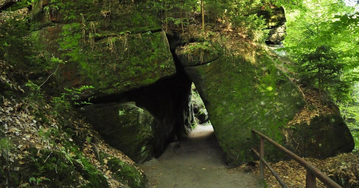 stezka v lese se skalami pokrytými zeleným mechem