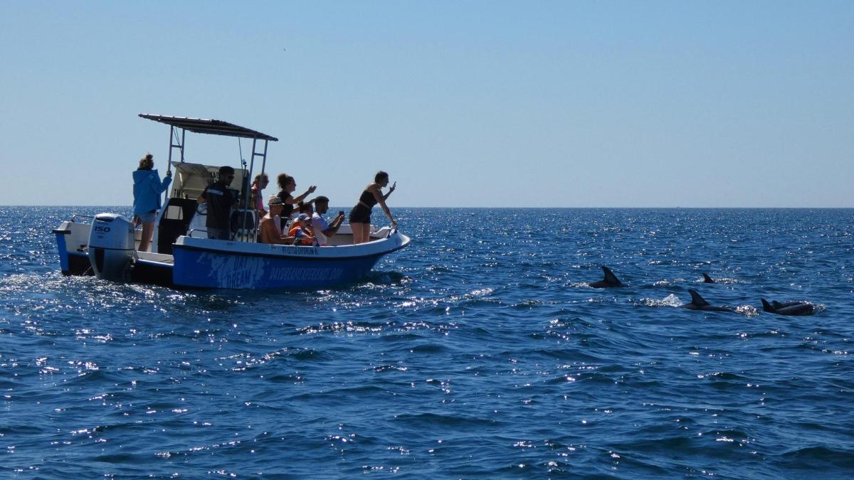 a group of people on a boat in the water with dolphins