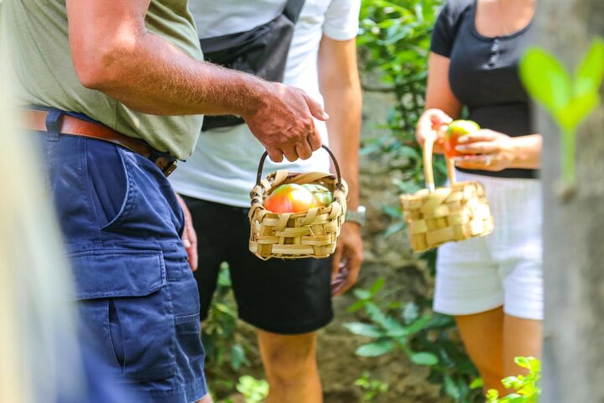 група людей, що тримають кошики з фруктами