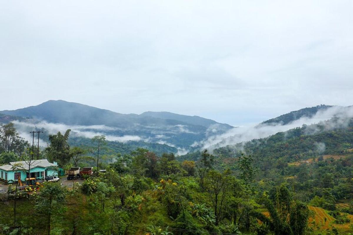 山谷景色，背景为群山