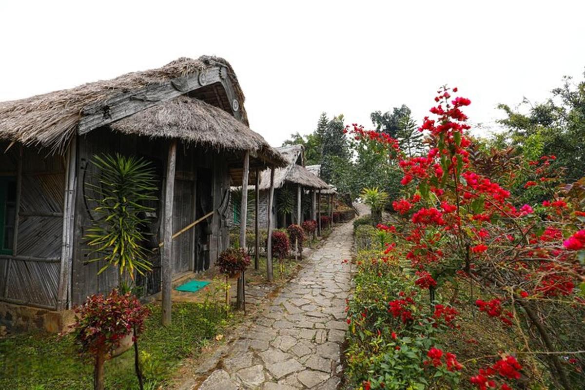 一排开着红花的小屋和一条小路