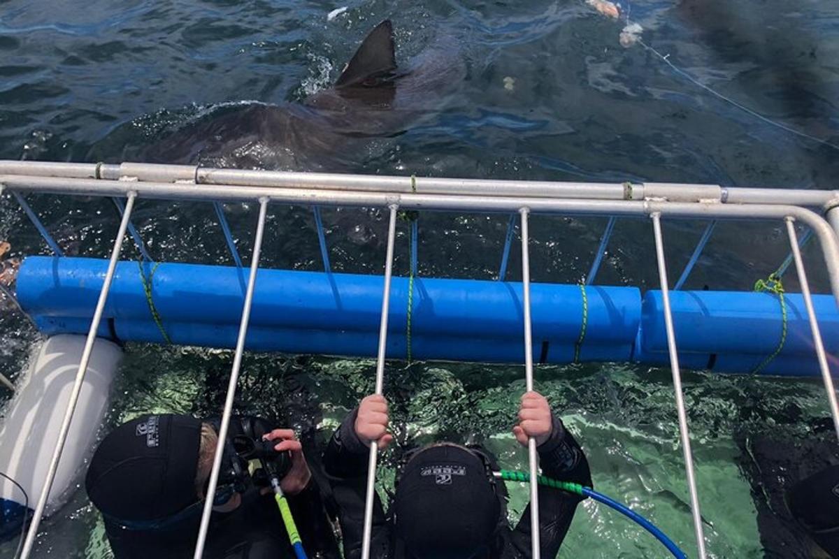 a man holding onto a boat with a shark in the water