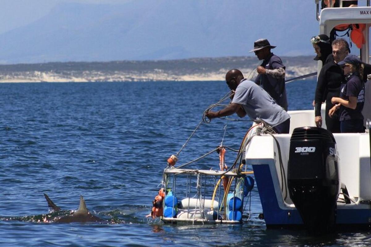 a man on a boat with a dolphin in the water