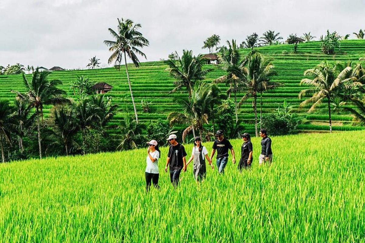 sekelompok orang berjalan melalui ladang rumput
