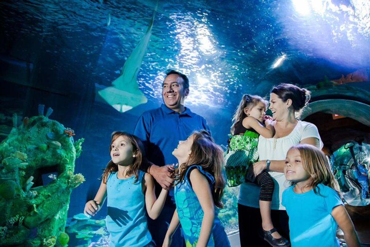 a group of children standing in front of a aquarium