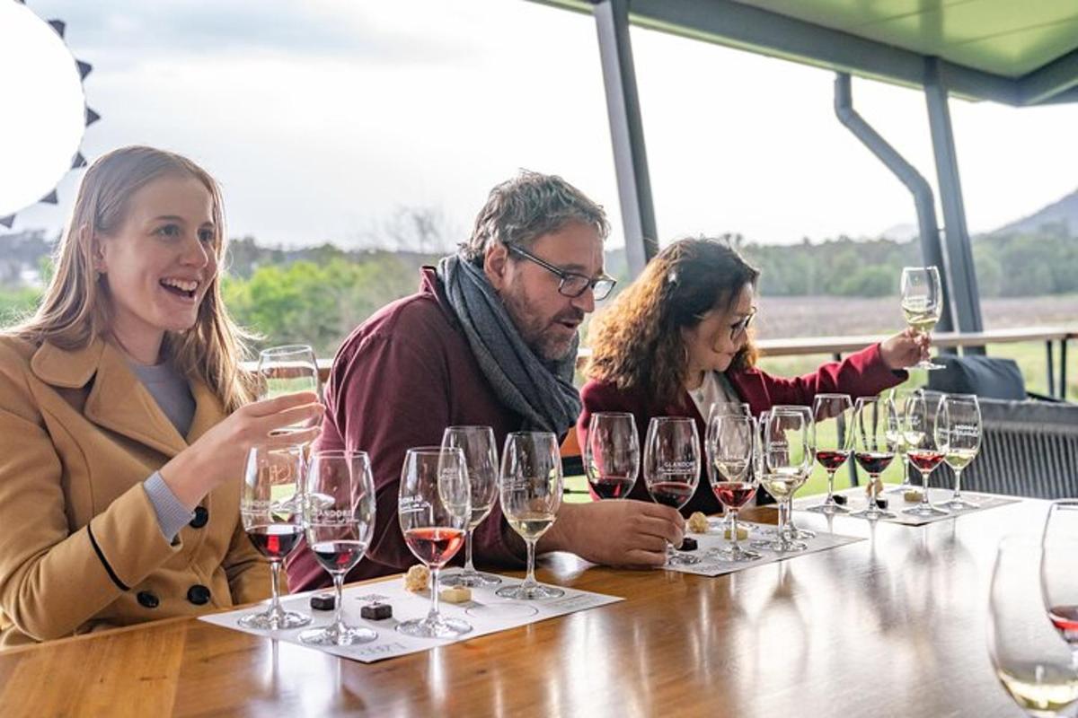 a group of people sitting at a table with wine glasses