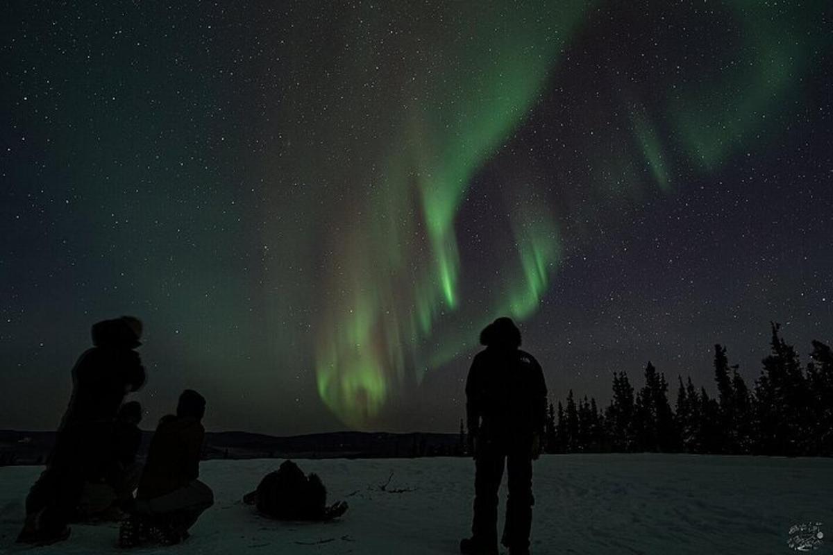 en gruppe mennesker som står i snøen under nordlyset