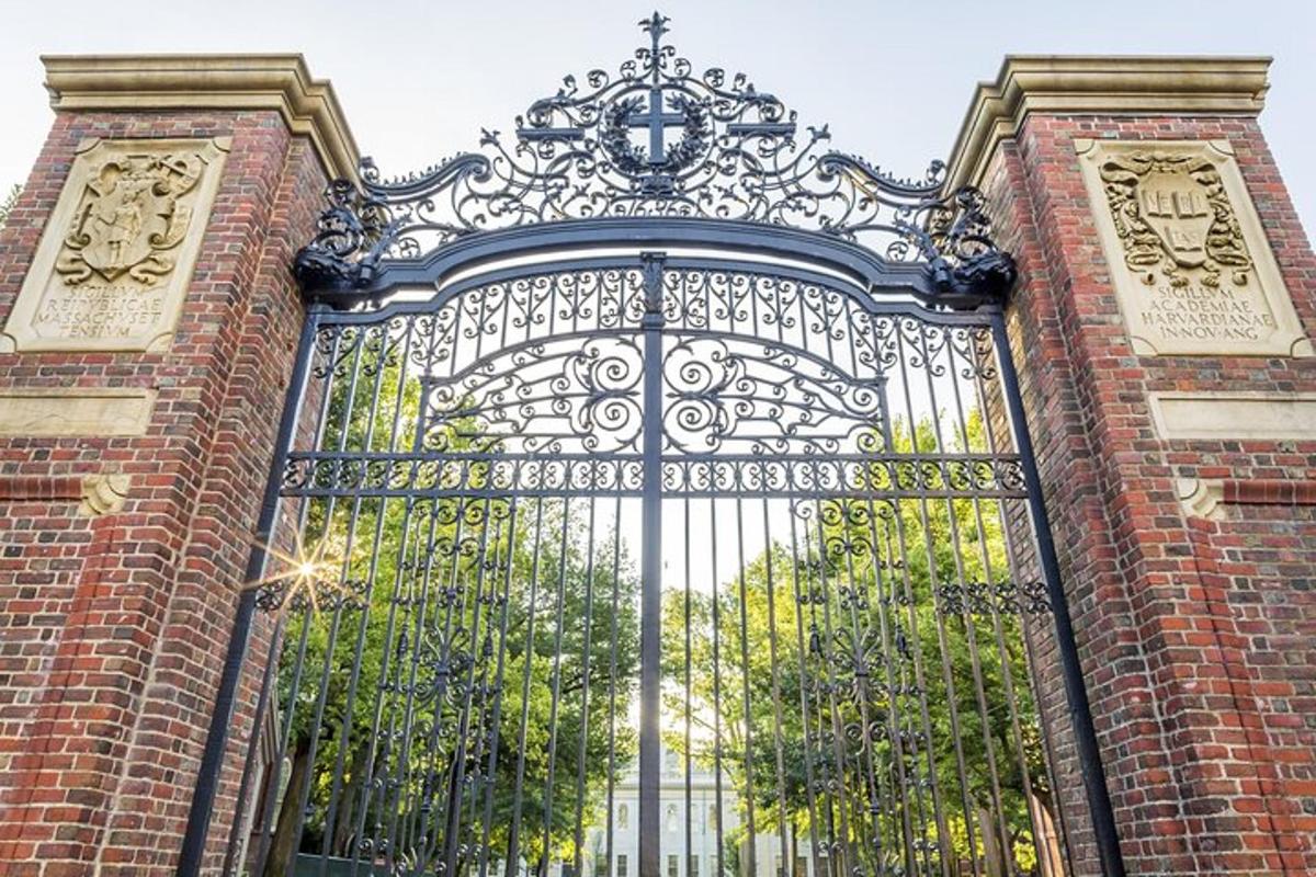 砖砌建筑的华丽金属大门