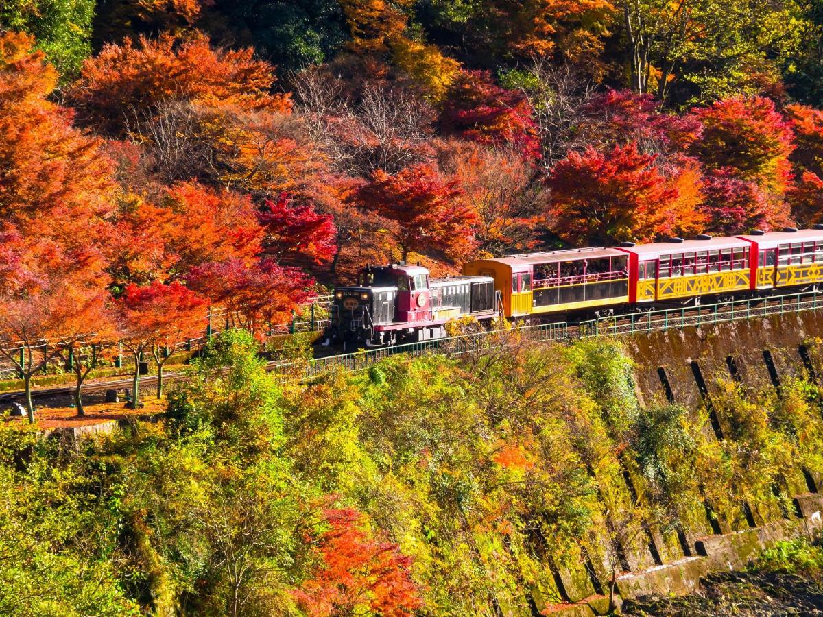 a train traveling down the tracks in the fall