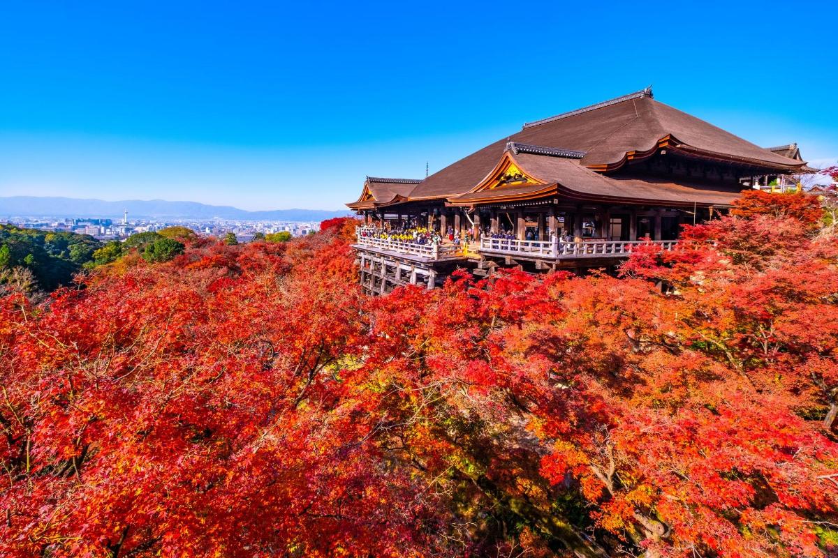 a building on top of a hill with autumn leaves