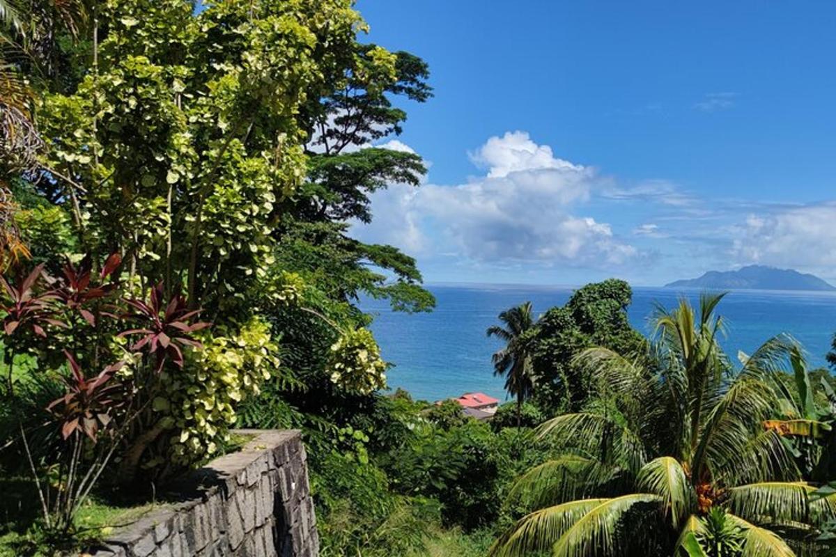 a view of the ocean from a tropical island