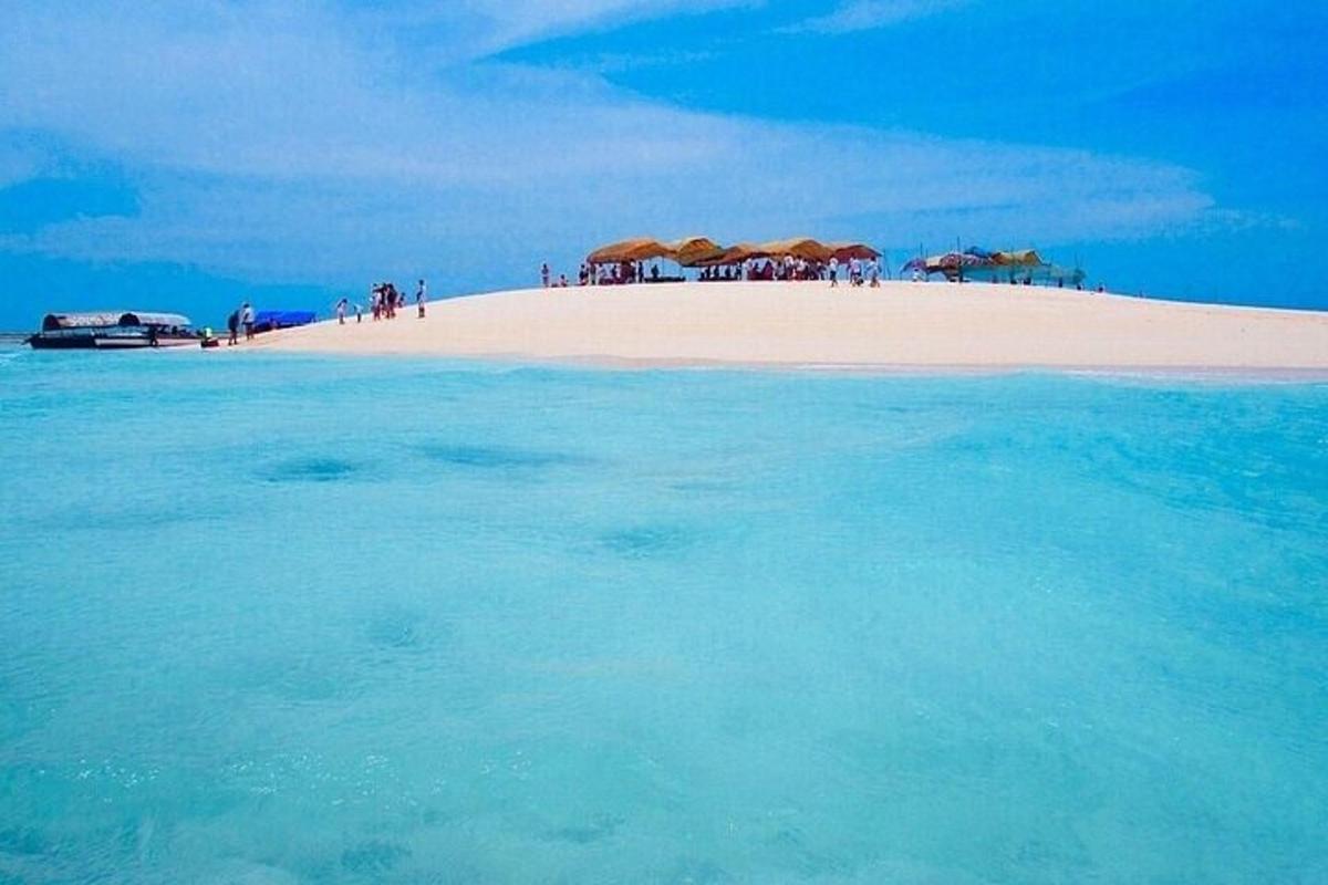 a group of people on a beach with umbrellas