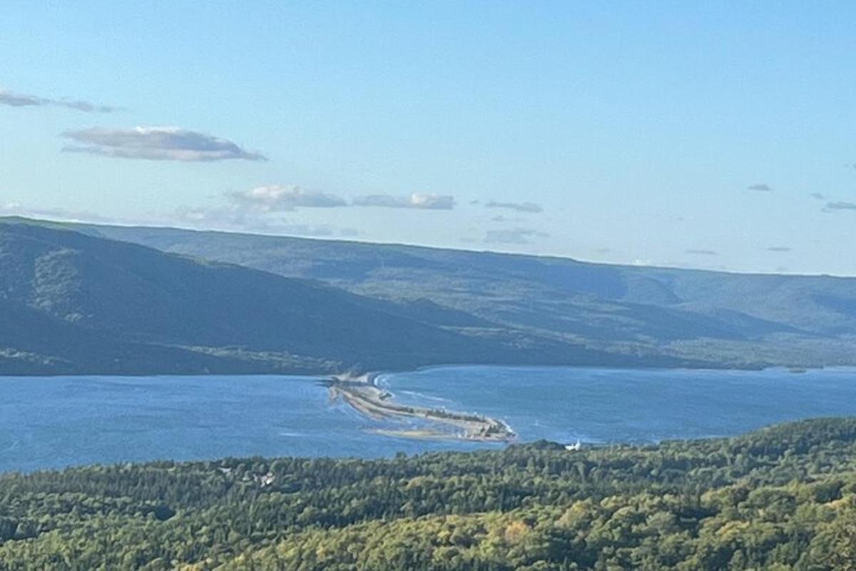 a view of a large body of water with trees
