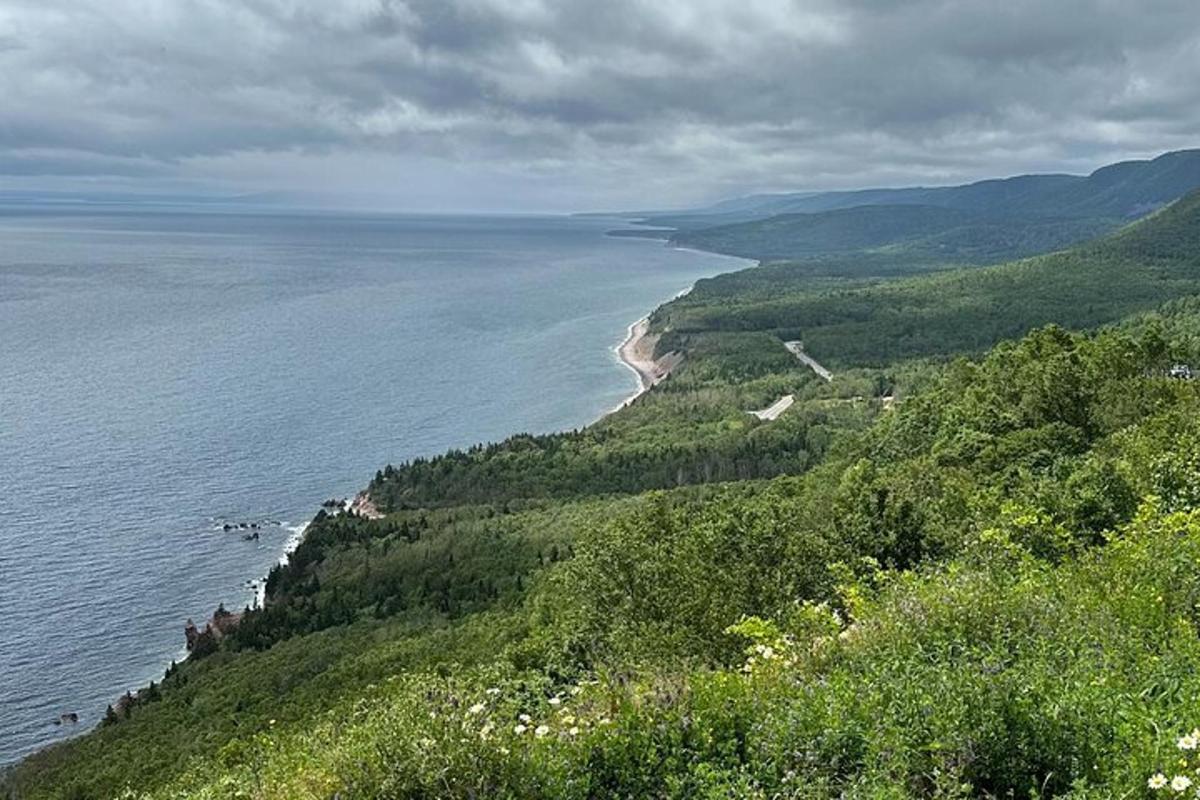 a view of the ocean from a hill with trees