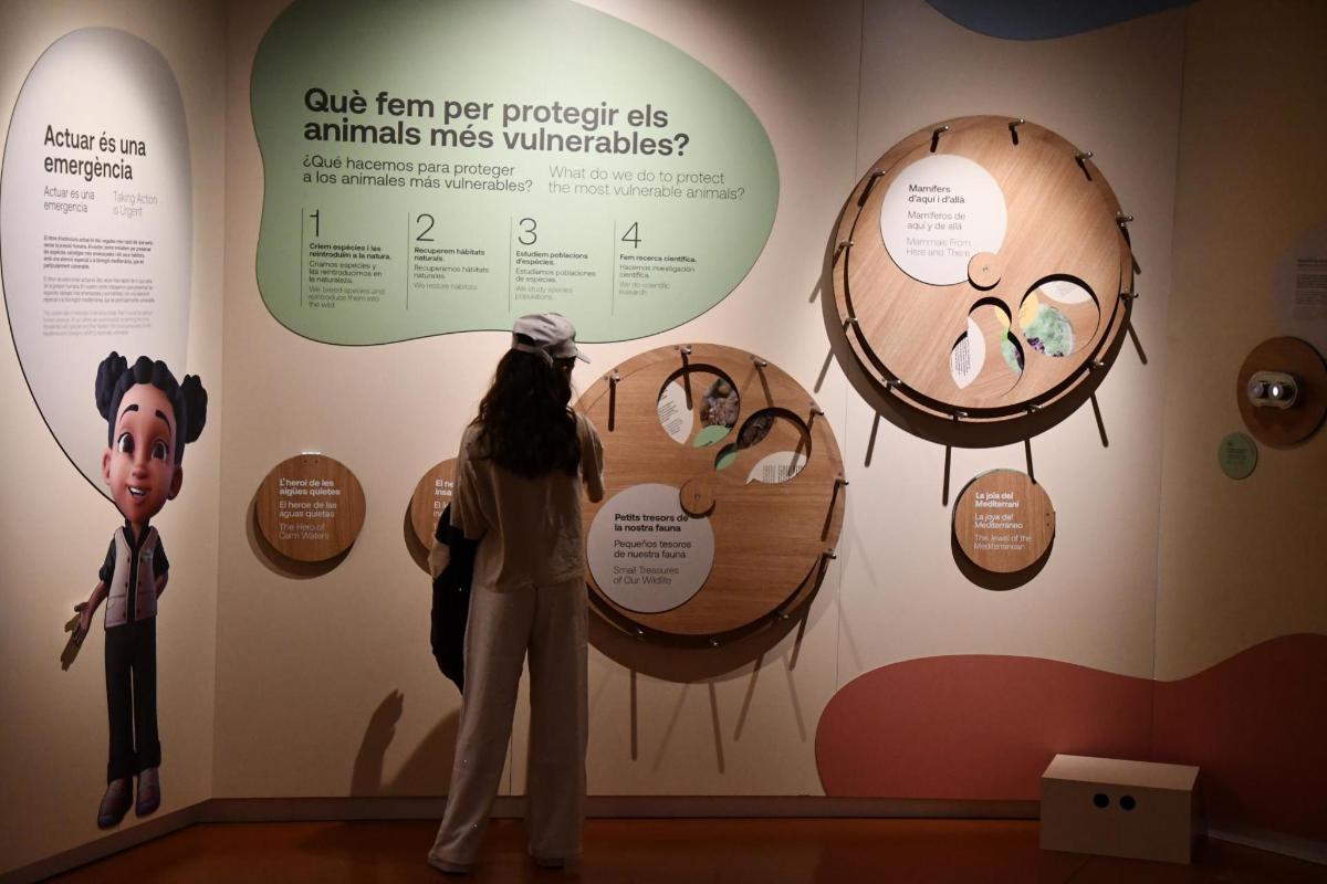 a woman is looking at a display in a museum