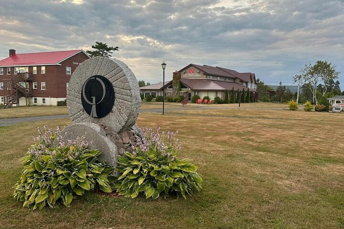 鲜花盛开的田野中央的雕像