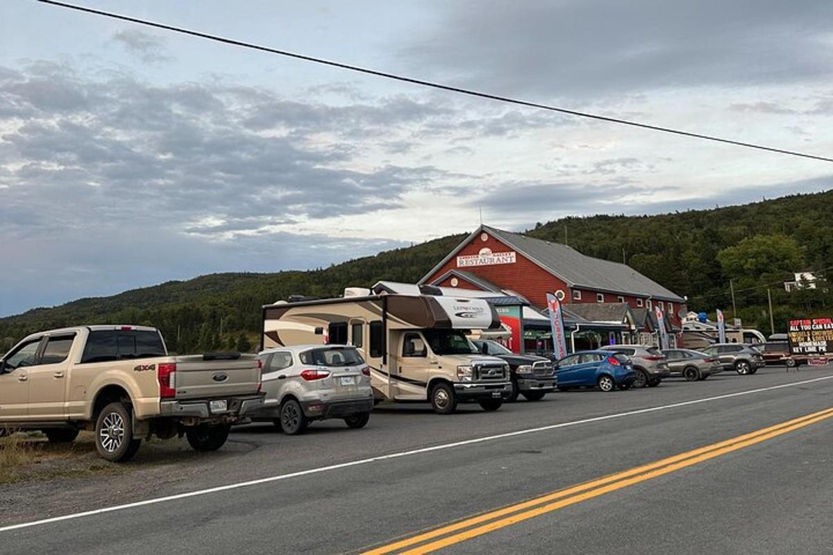 停在路边的一排车辆