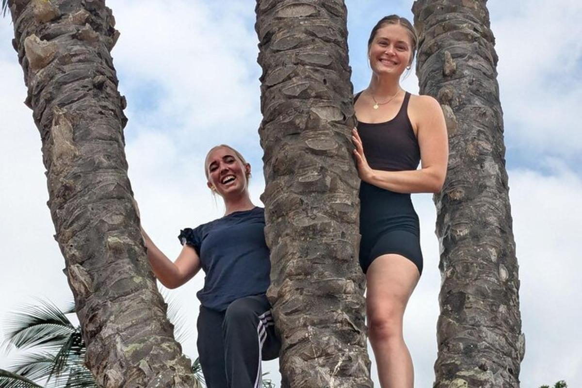 two women are sitting in a palm tree