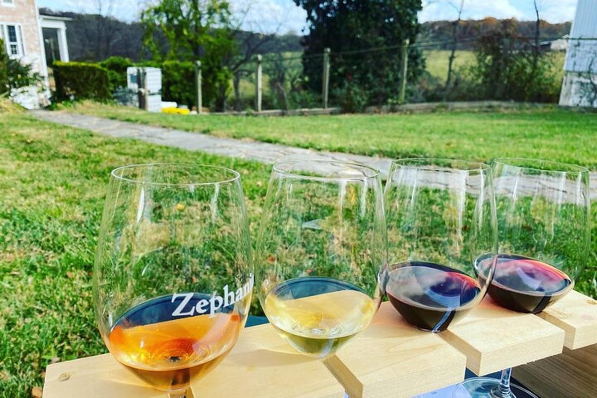 a group of wine glasses sitting on a table