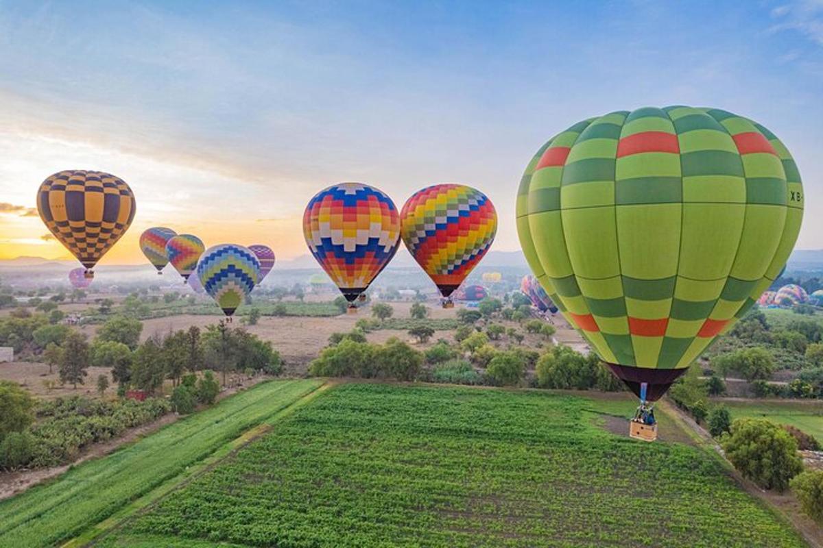 a group of hot air balloons flying over a field