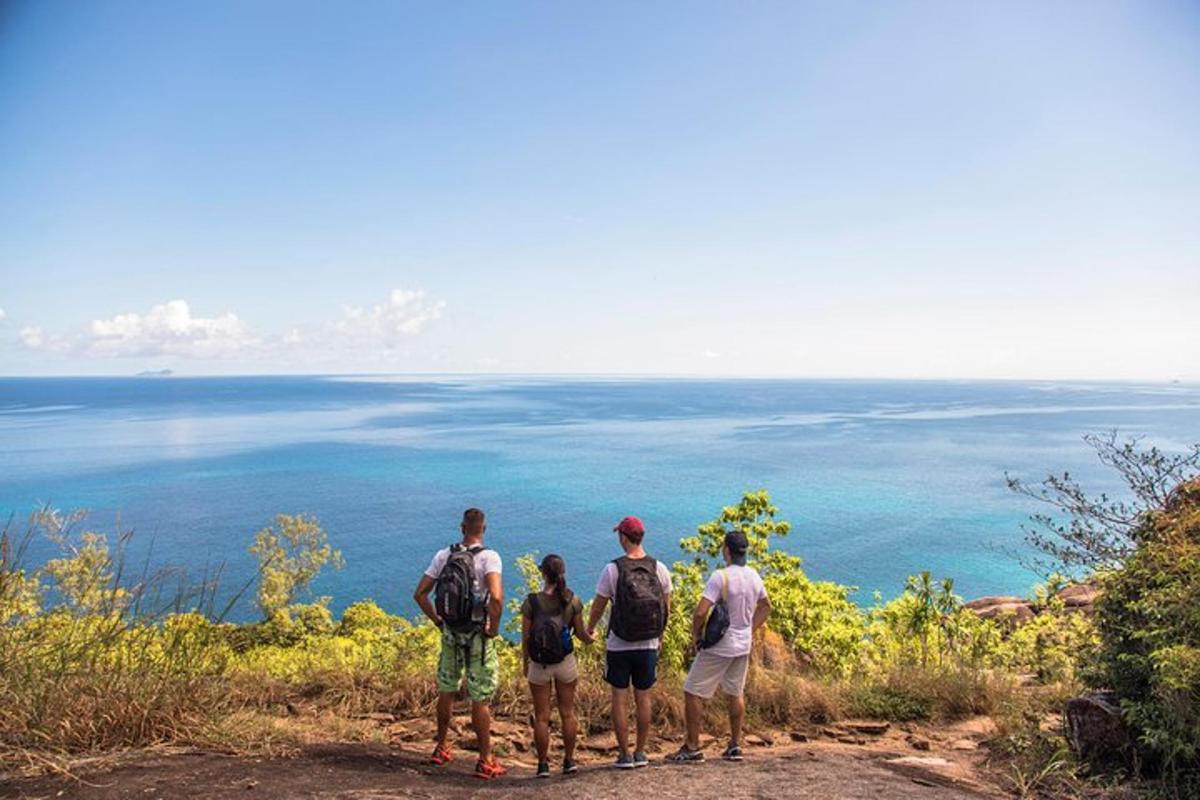 a group of people standing on a hill looking at the ocean