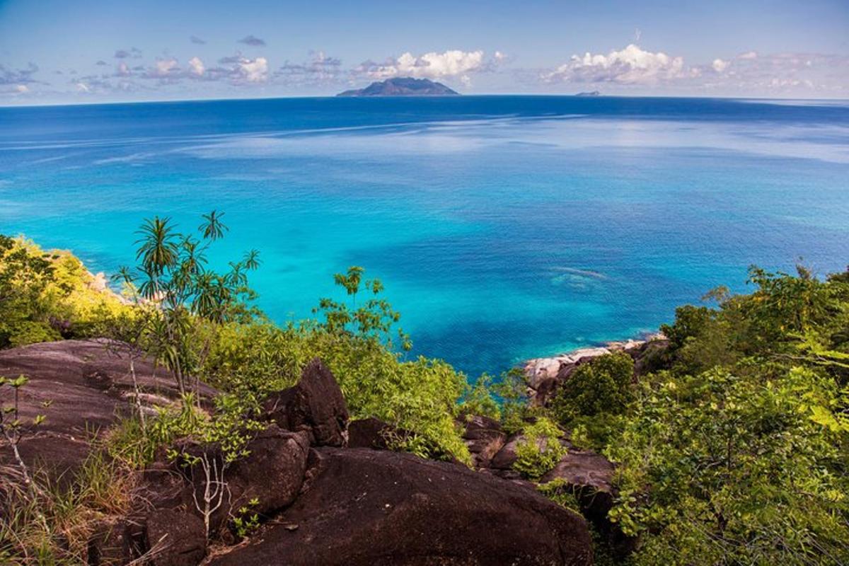 a view of the ocean from a hill with trees
