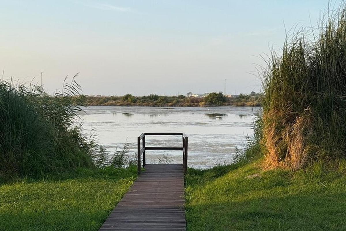 a wooden path leading to a body of water