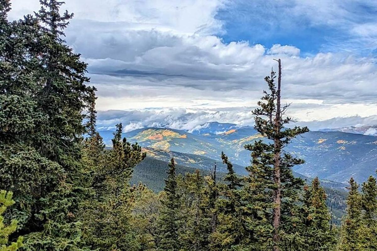 a view of a mountain range with trees and mountains
