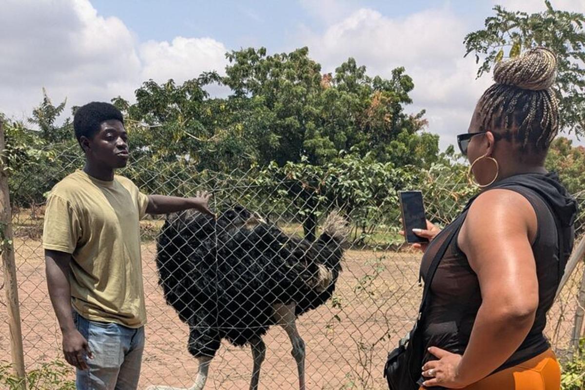 two people looking at a monkey behind a fence