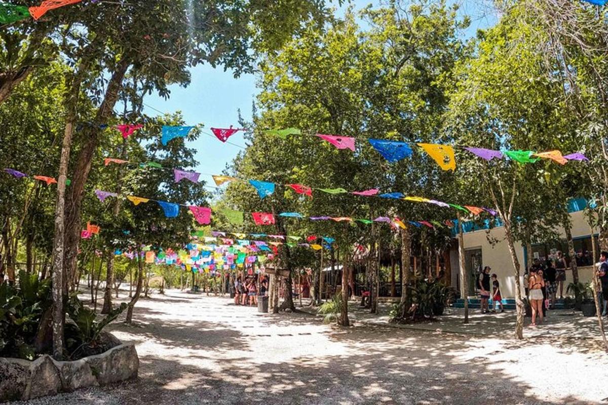 公园里树上悬挂的一组旗帜