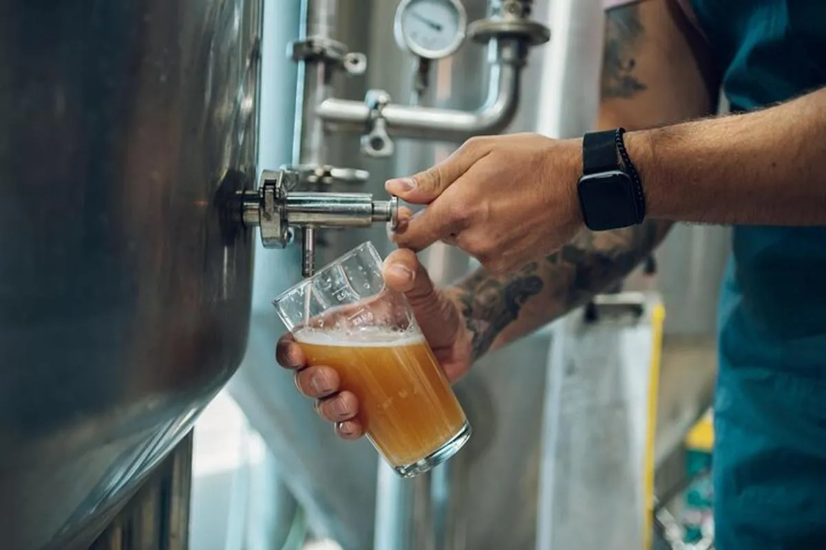 Bière Crawl – Brasseries locales, arrêts frais et bons moments | Basel – photo 4