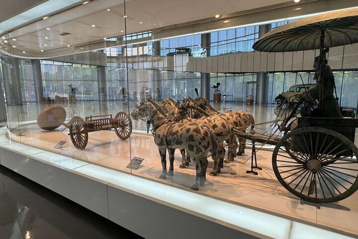 a display case with a horse drawn carriage in a museum