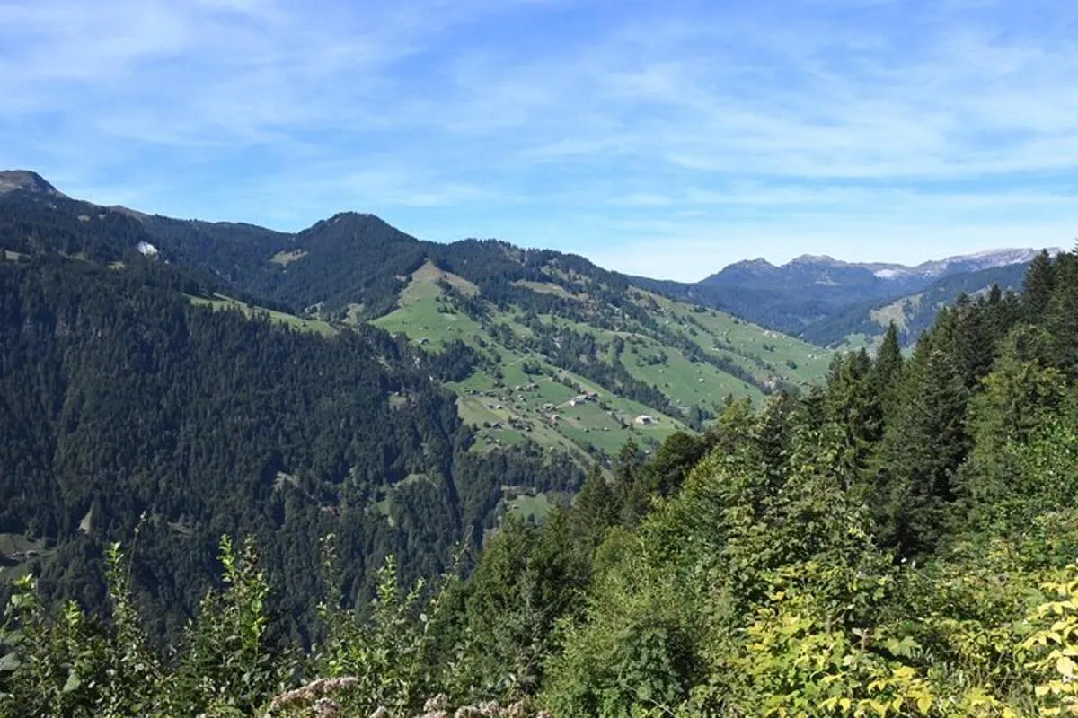 Visite privée. Belle Suisse. Alpes, Lacs, Villages – photo 7