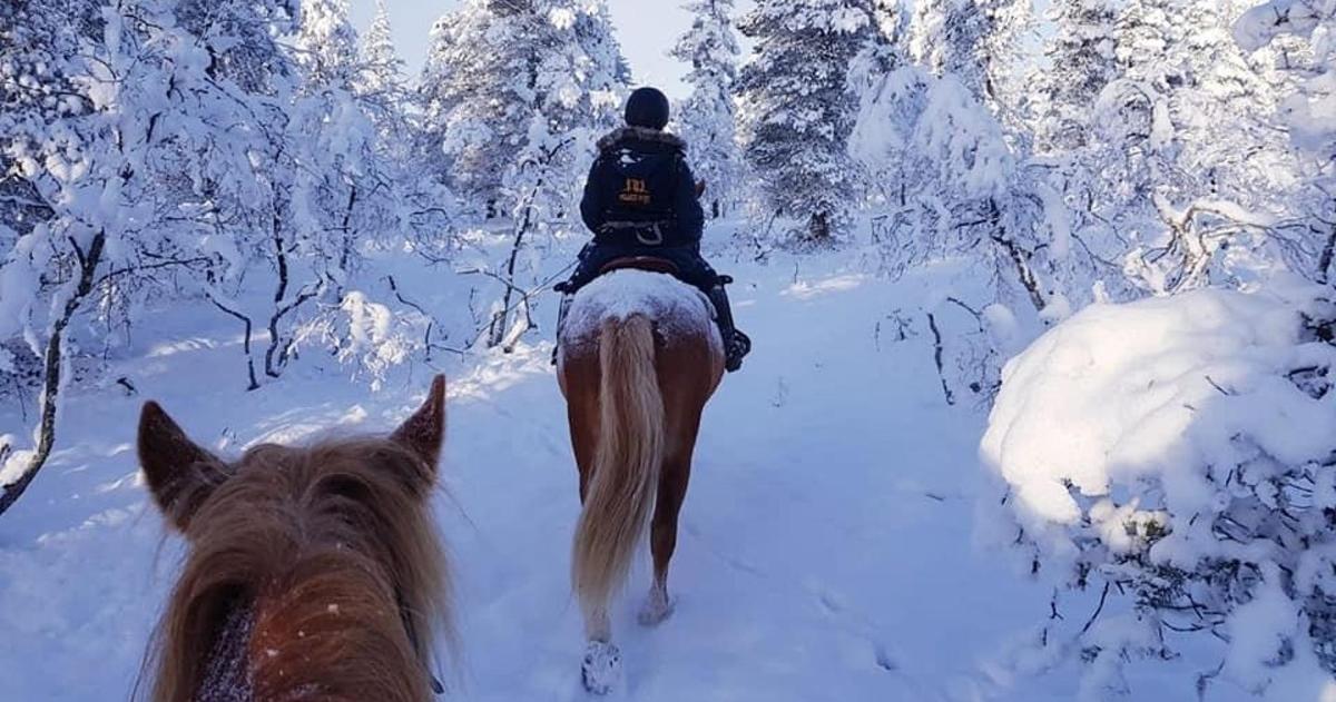 a person riding a horse in the snow