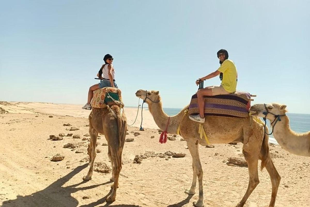 两个人在海滩上骑着骆驼