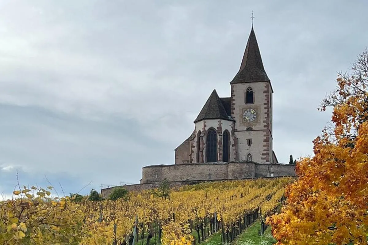Colmar : excursion à vélo guidée sur la Route des Vins, 6 h – photo 7